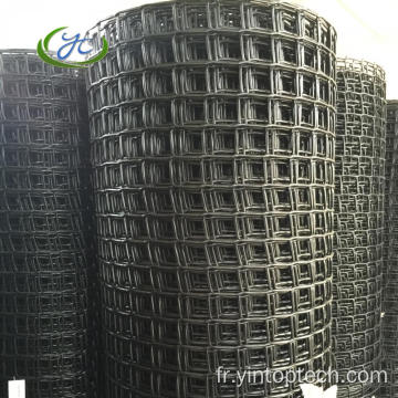 HDPE Plastique Mesh carré